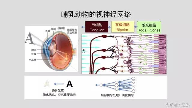 西湖许田,西湖大学副校长许田教授