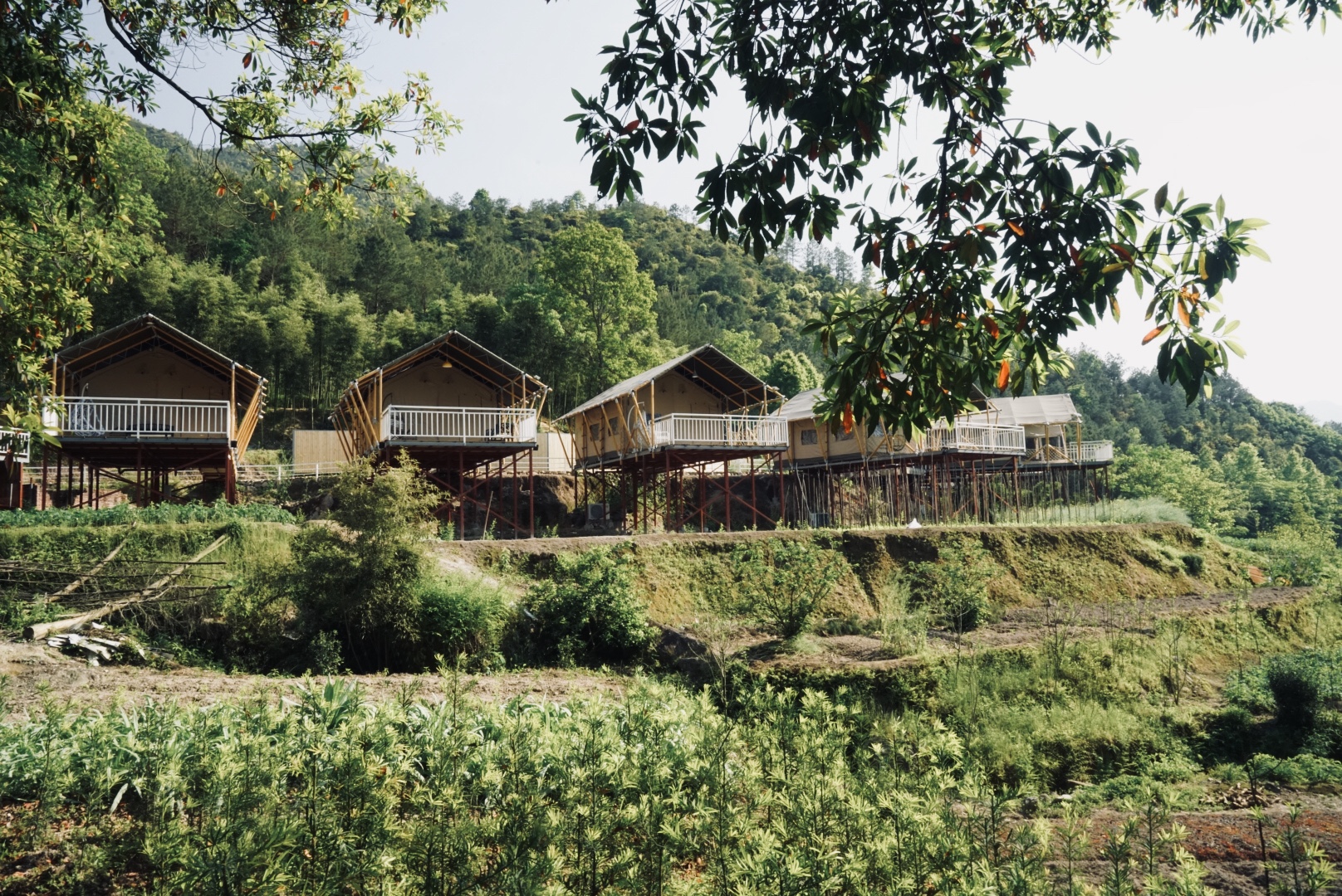 飞云湖白鹤山庄规划图,白鹤山庄景区