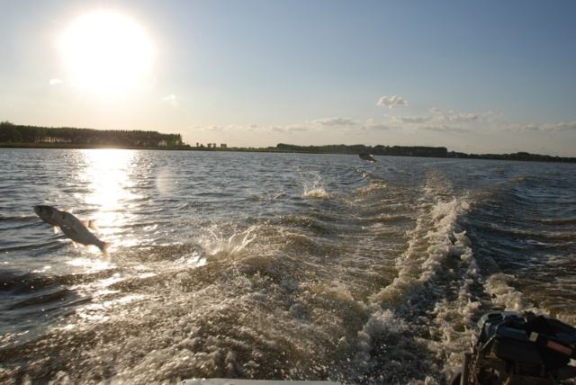 哈尔滨野狼湖，为东北最大的内陆平原湖，是野生狼栖息的天然场所