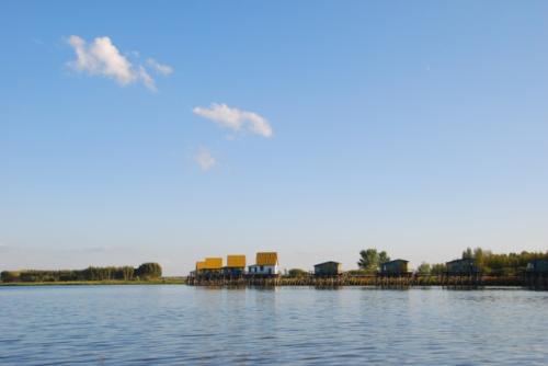 野生狼最多的地方去哪,哈尔滨野狼湖露营