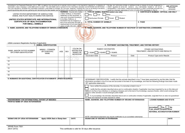 【每日一答】如何把宠物带到国外？#美国篇#