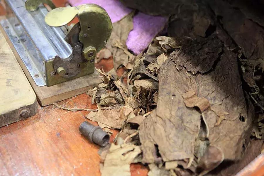 古巴的雪茄烟叶为什么这么特别,古巴雪茄烟种植