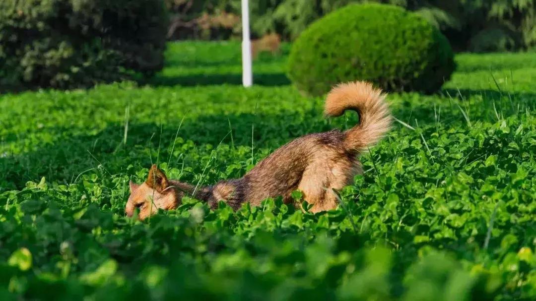 欧亚，你好！欧亚，再见！