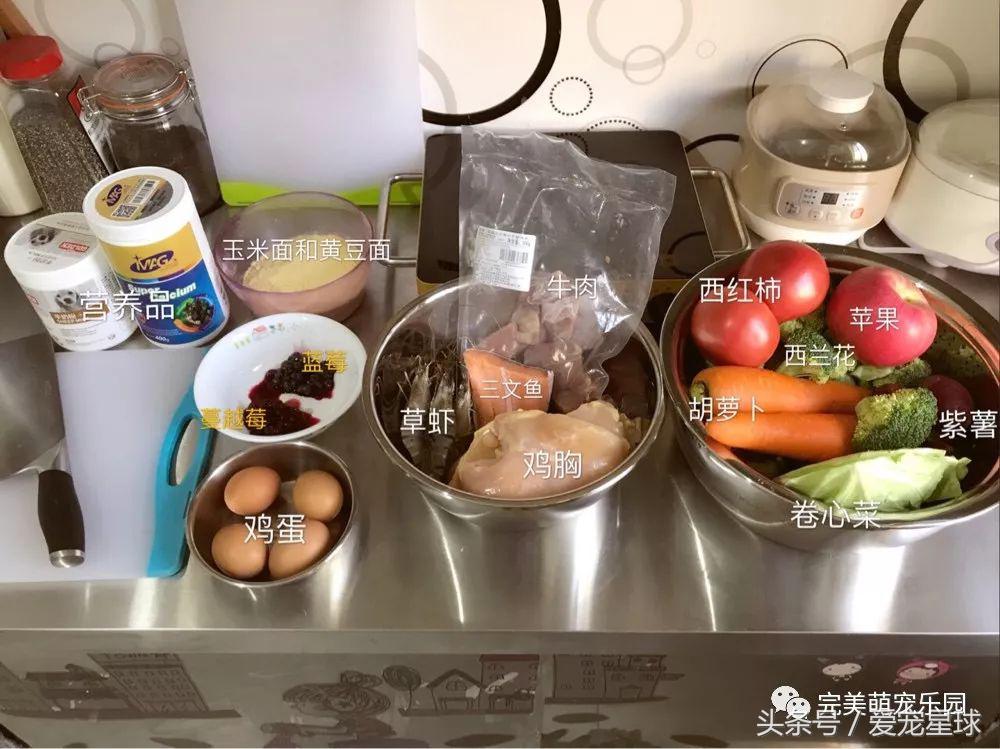 如何自制幼犬去泪痕狗粮视频教程,怎么给狗自制狗粮器