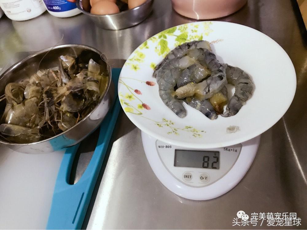 如何自制幼犬去泪痕狗粮视频教程,怎么给狗自制狗粮器