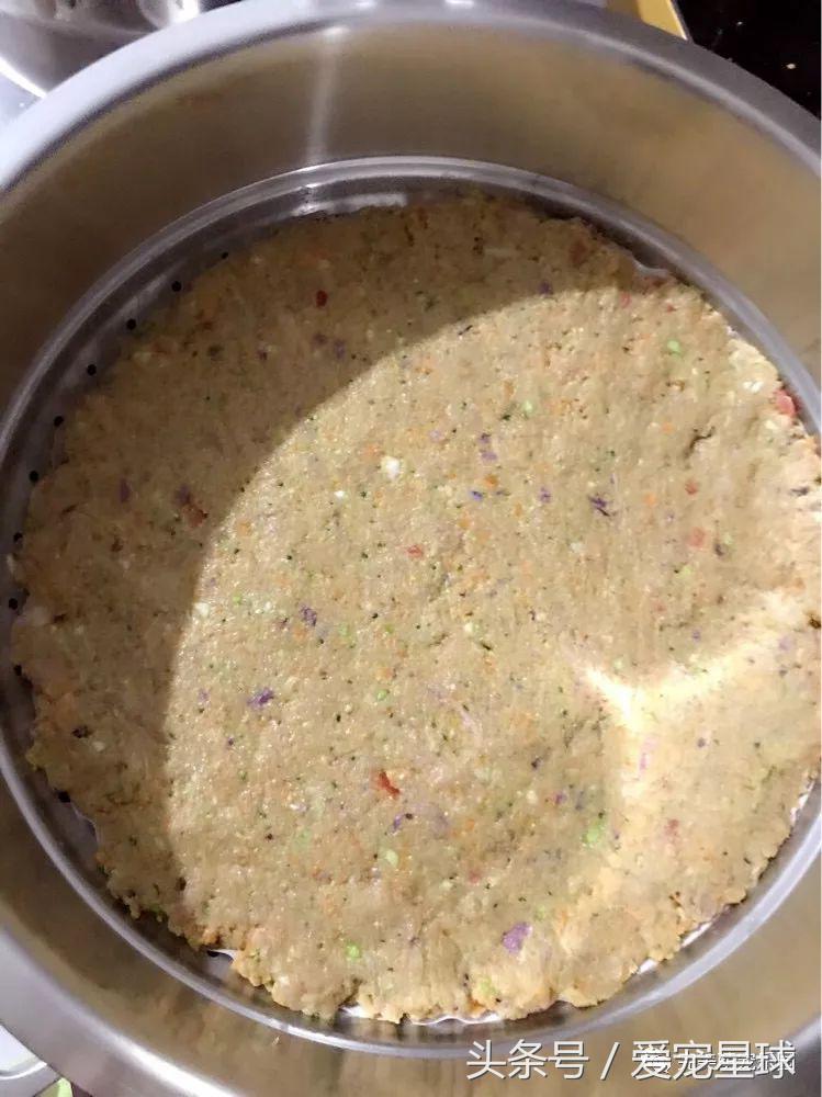 幼犬狗粮自制狗粮教程,怎么给狗自制狗粮器