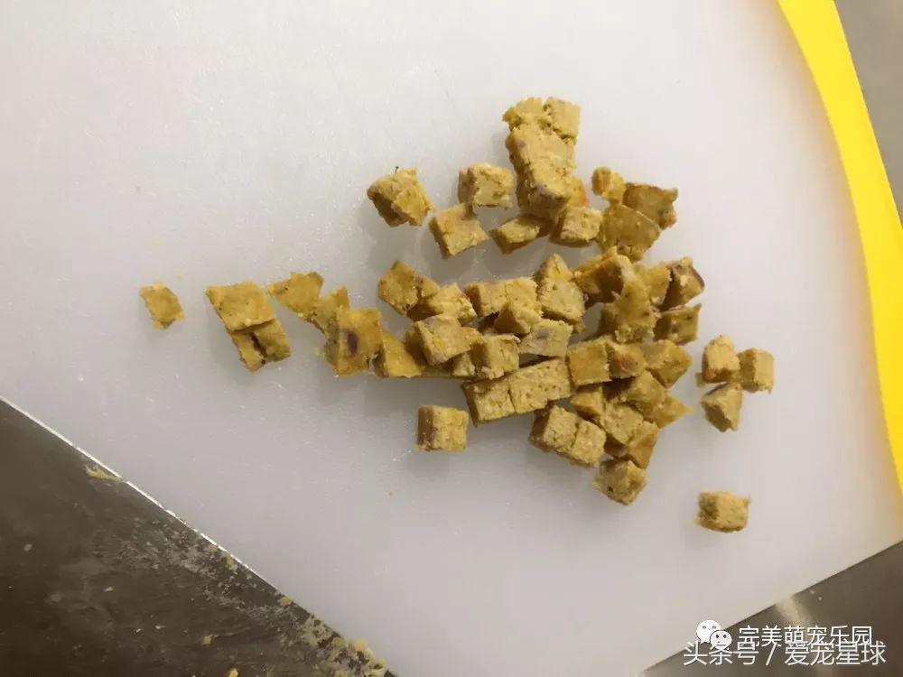 幼犬狗粮自制狗粮教程,怎么给狗自制狗粮器