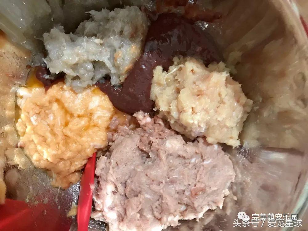 幼犬狗粮自制狗粮教程,怎么给狗自制狗粮器