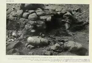 洗干净的恐龙,不可驯服的恐龙