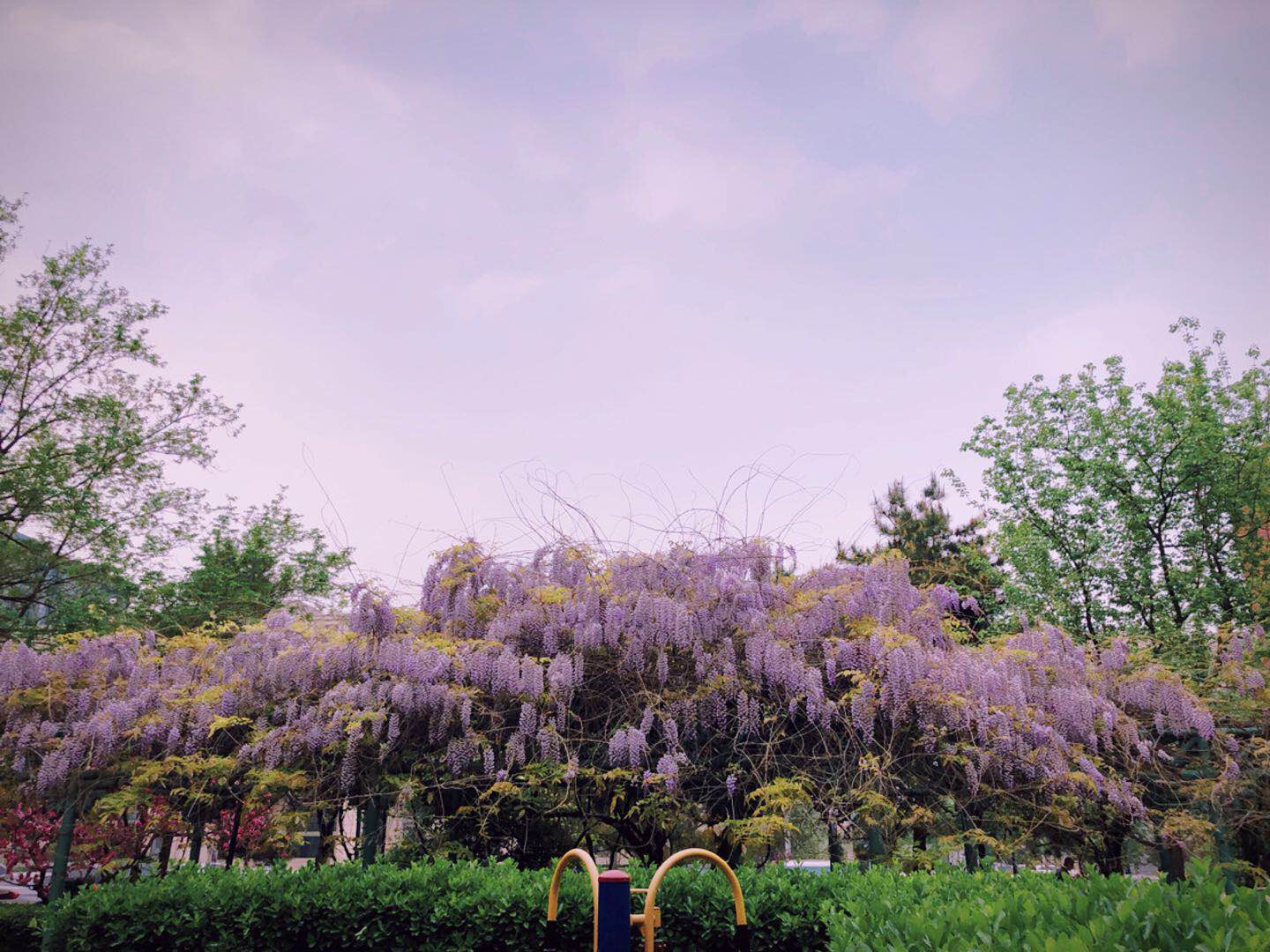 鼻塞咽痒,全身乏力?注意,可能是过敏!