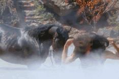 这些一言不合就开车上演羞耻play的台词,我把考驾照提上了日程