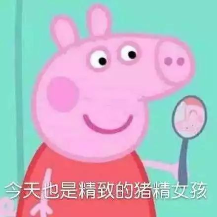 佩奇社会人什么意思,小猪佩奇里面的人类