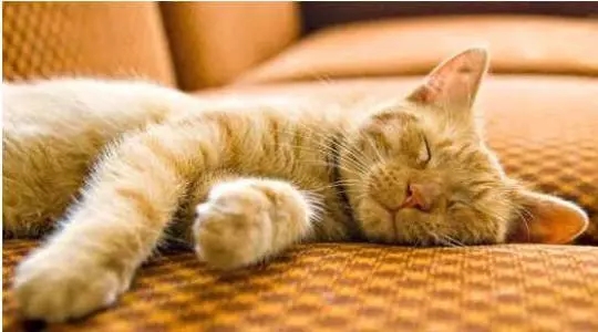 去汗蒸的日记,洗澡汗蒸的日记