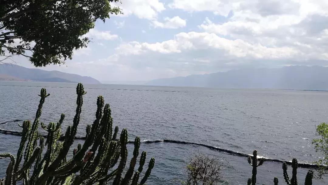 皓添金融,皓添金融稳健发展