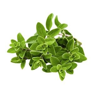 对于一心一意想要传染感冒给你的人,该怎么办?