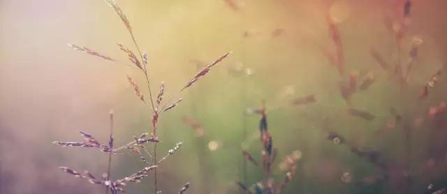 12个经典的中国民间故事全12册,12个经典的中国民间故事