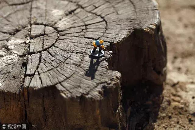 每日一球完整版,每日一字棋