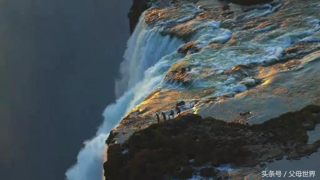 世界地球日，最适合孩子看的18部自然纪录片，趁周末，带娃看起来