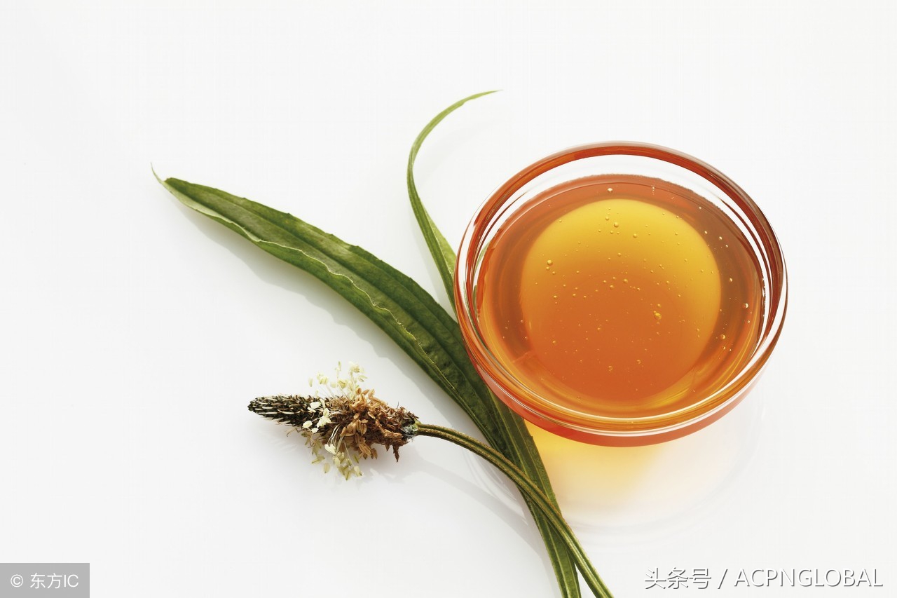 寻蜜记蜂蜜,觅甜记甜品