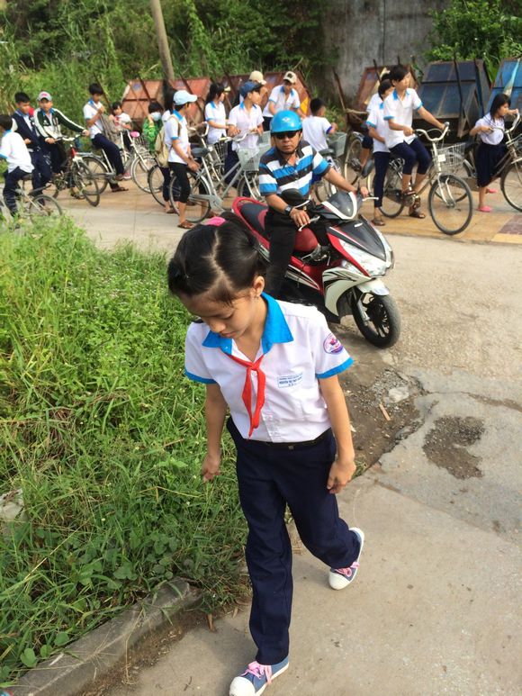 越南人文风情介绍,越南神奇物种