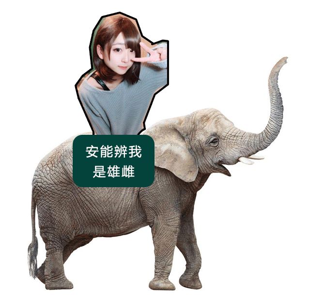 缩骨功用法,缩骨功可以缩到什么