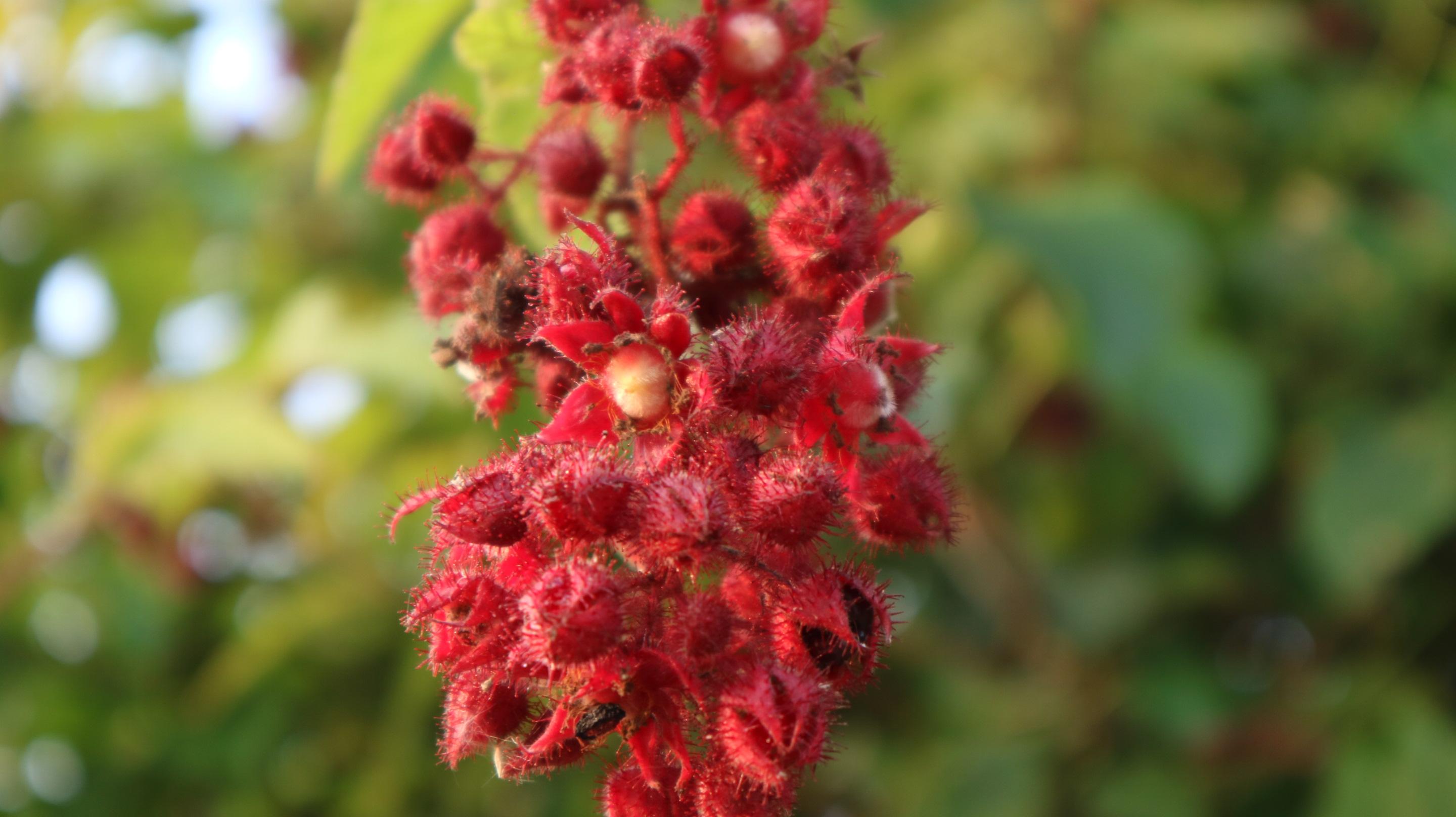 探秘苍溪王姓之源：安东将军王浑的江湖