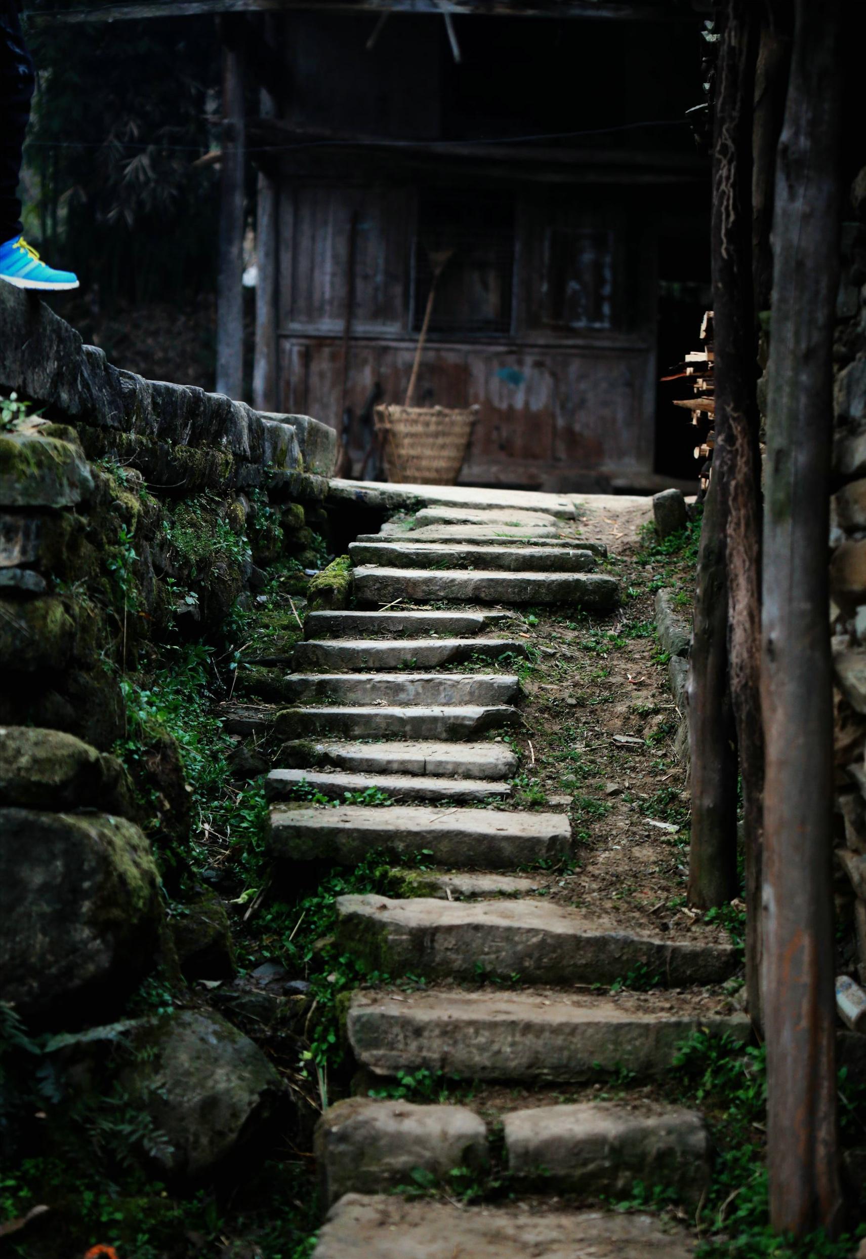 王家人的历史,关于王家人的视频