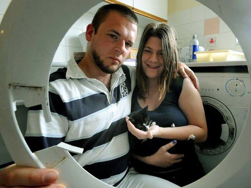 奶牛猫得猫瘟被救,奶牛猫在水里被救