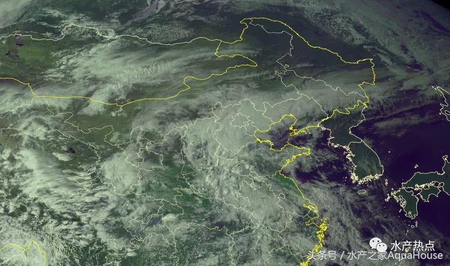 水产塘口每日最新报价,水产频道淡水鱼今日行情