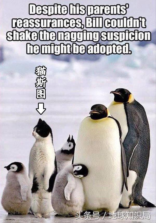 往南走，中国人走了这么远终于找到了……｜地球知识局