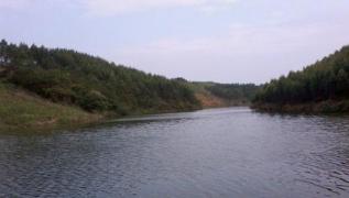 广西南宁钓鱼钓点,广西最新钓鱼技巧