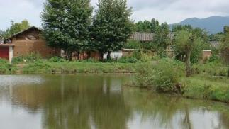 广西南宁钓鱼钓点,广西最新钓鱼技巧