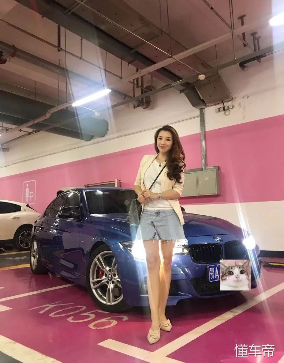 f30在3系的地位,f303系