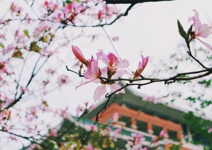 人生必读的30本好书,值得收藏的100个好书