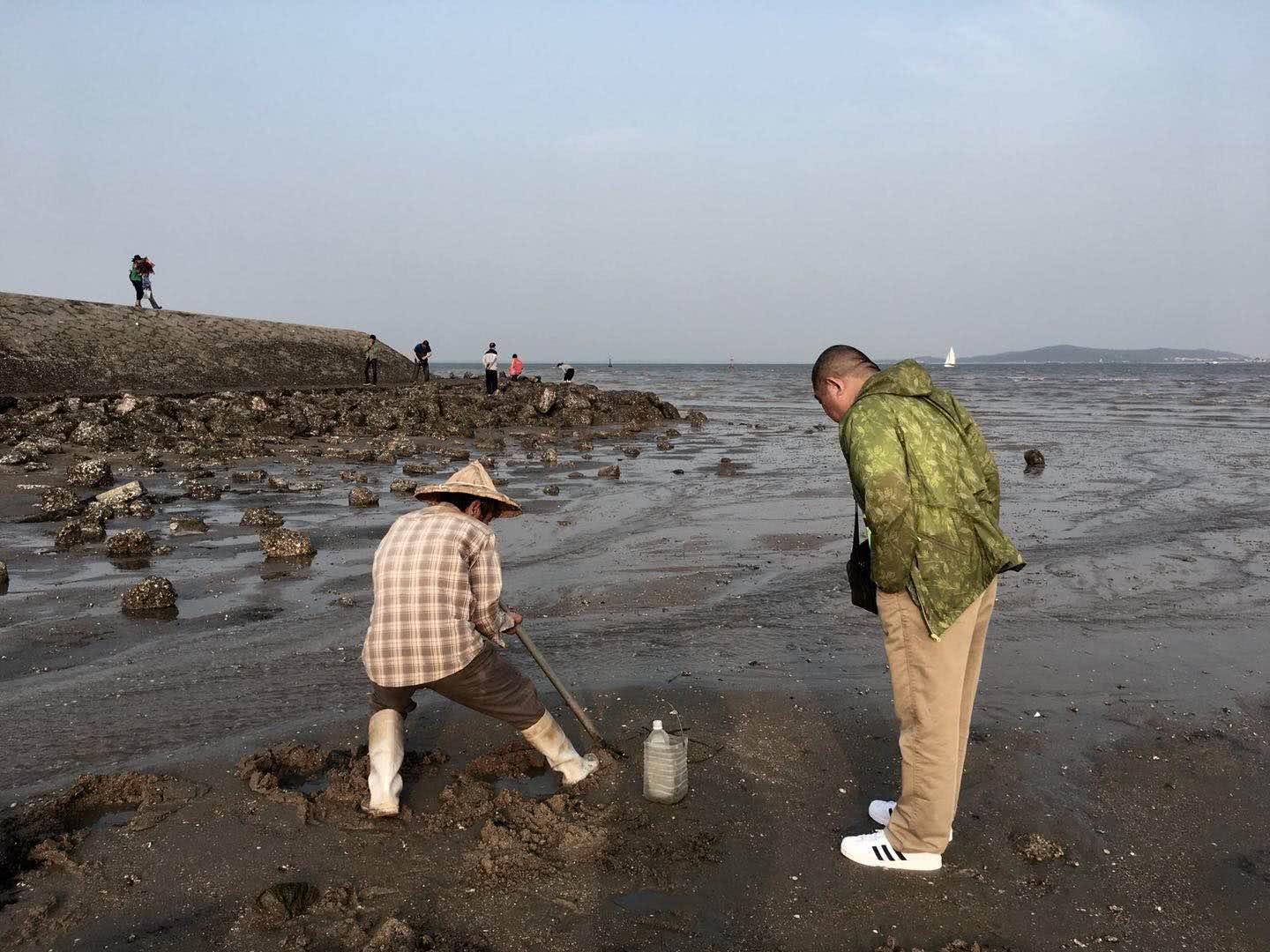 老人在厦门海边挖出虫子，游客作呕称自己刚吃过，怎么回事？