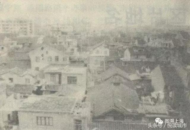 悦读城市,悦读城市完整版