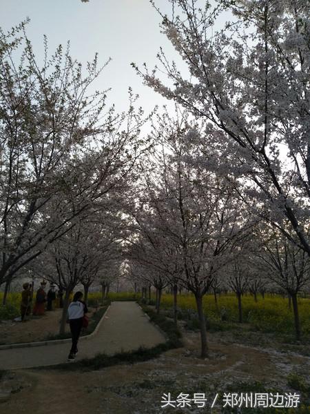 孤柏渡黄河塬蹦极,孤柏渡黄河旅游风景区蹦极还有吗