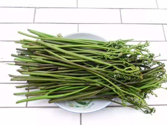 野菜养生食疗食品,野菜山苜楂的养生功效