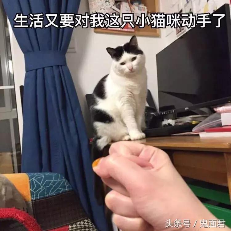 只有兼职才可以活得下去,兼职时代还会推迟多长时间