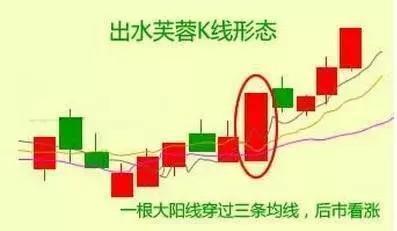 老股民肺腑之言,老股民的感言