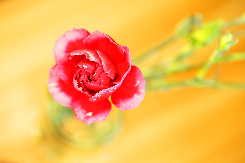 全光谱护眼灯各品牌评测,护眼灯测评排行榜前十名