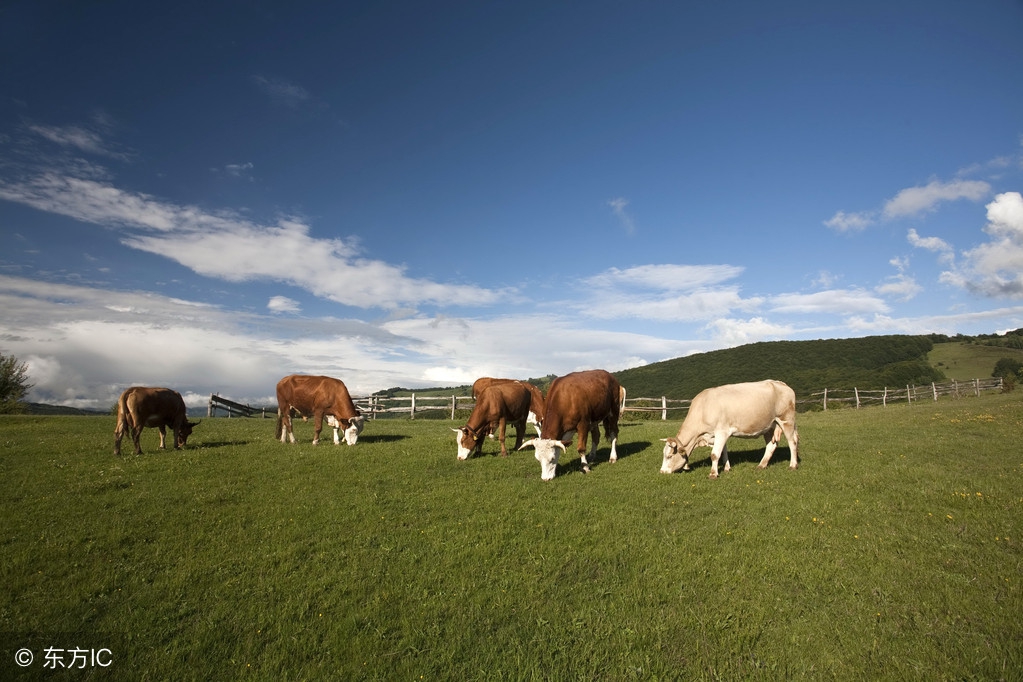 海外原装进口的奶粉有假吗,进口假奶粉名牌奶粉