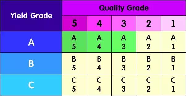 牛肉分级对照表,牛肉的划分和基础知识