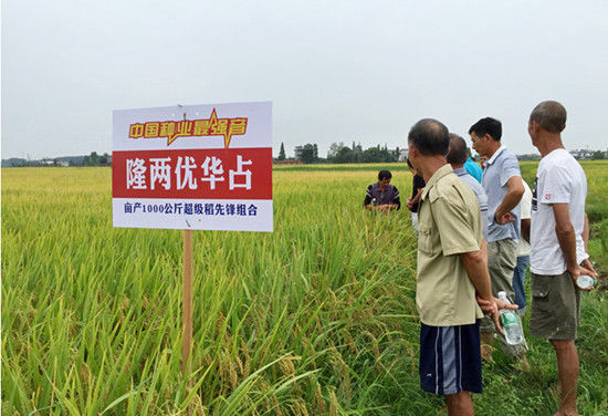 知识产权日原创,世界知识产权日拒绝盗版从我做起