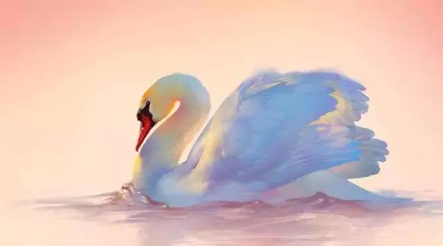 Swan开瓶器｜想象一下，如果你有一个天鹅系男友