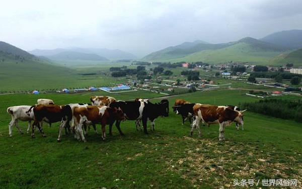 满族风俗习惯简笔画,满族风俗习惯全介绍