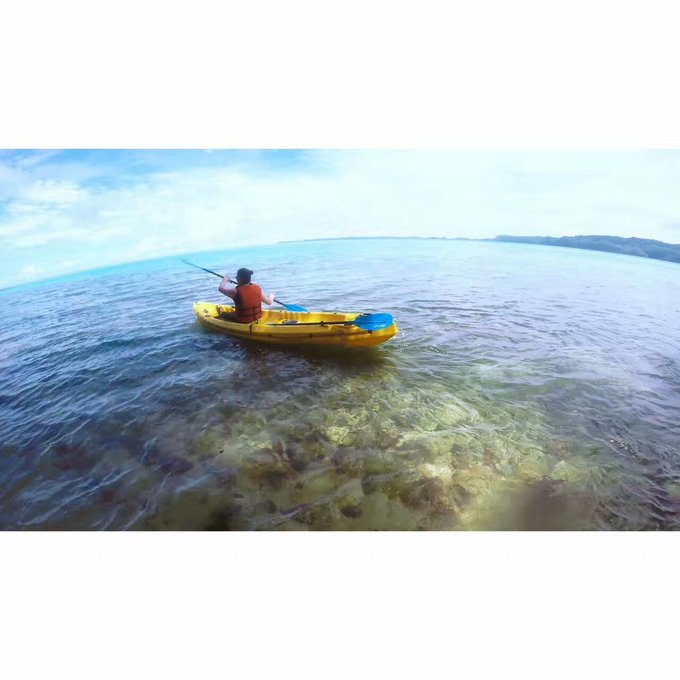 看我这发型酷不酷｜我觉得很可爱啊！帕劳潜水超级赞！