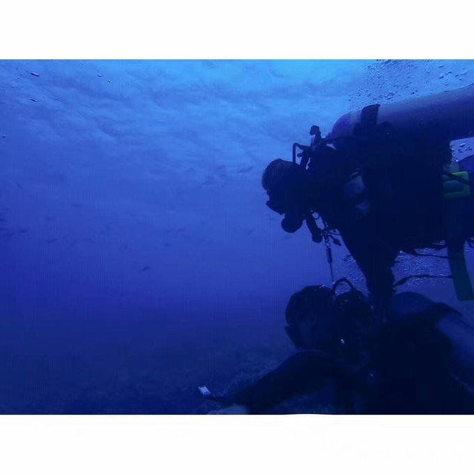 看我这发型酷不酷｜我觉得很可爱啊！帕劳潜水超级赞！