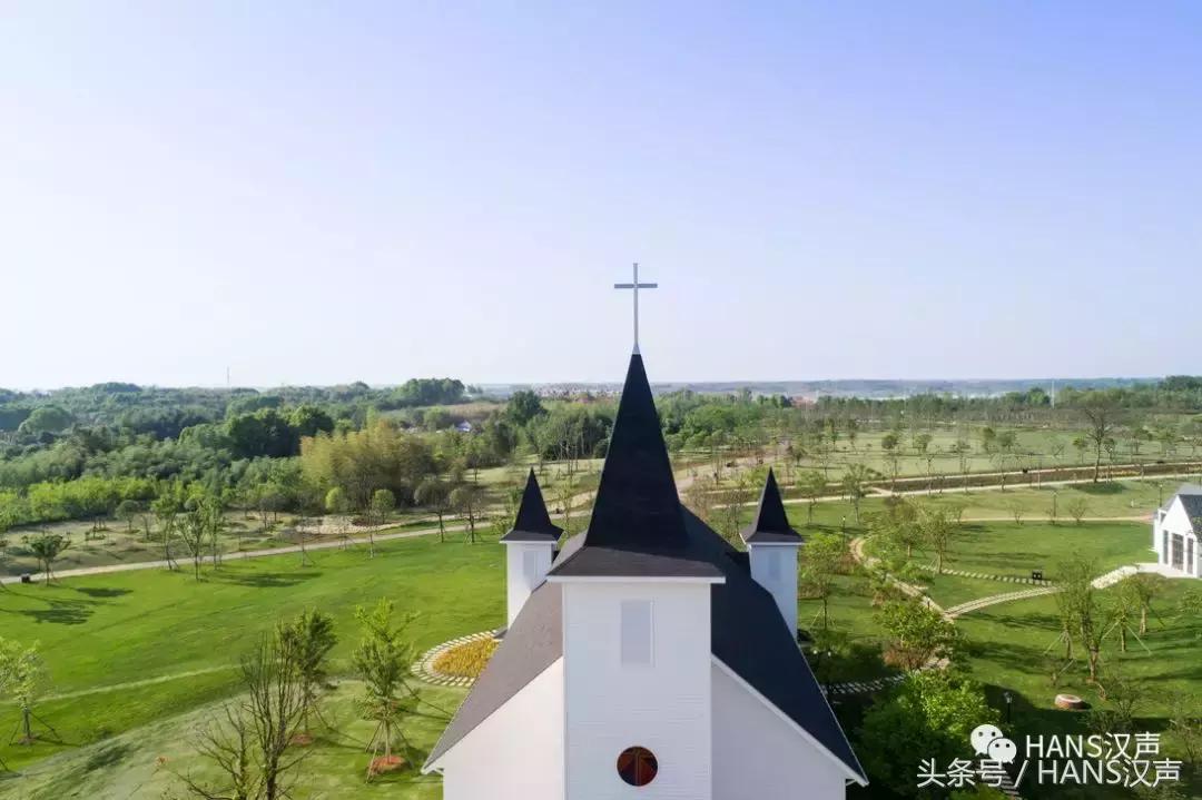 武汉街头藏着桂花香,武汉3800亩玫瑰花园