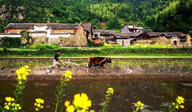 浙江丽水最值得去的地方,丽水旅游景点和美食